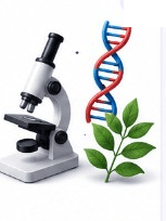 Biology illustration